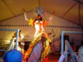 /album/galeria-de-fotos/luba-no-show-jpg/